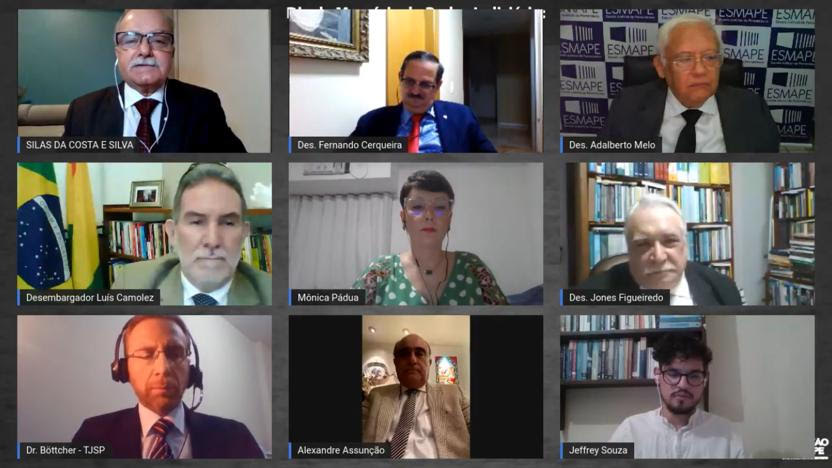 Mosaico da videoconferência com os participantes do webinário e do lançamento do livro
