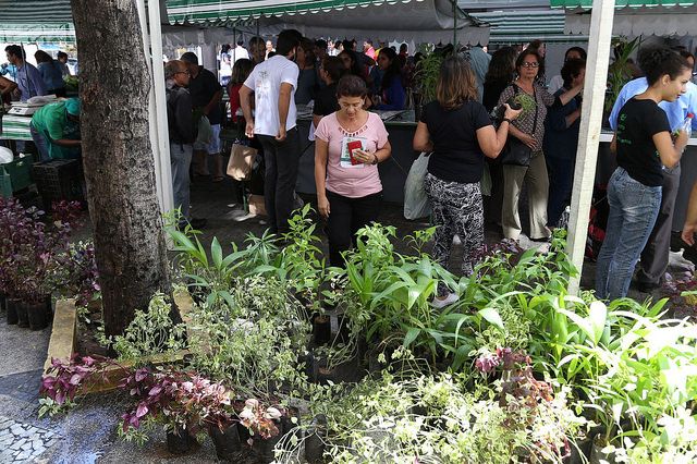 Plantas e pessoas na raua durante Semana do Meio Ambiente