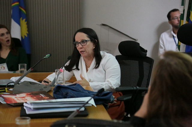 Vice-presidente do Cocevid, desembargadora Daisy Andrade representou o TJPE no encontro