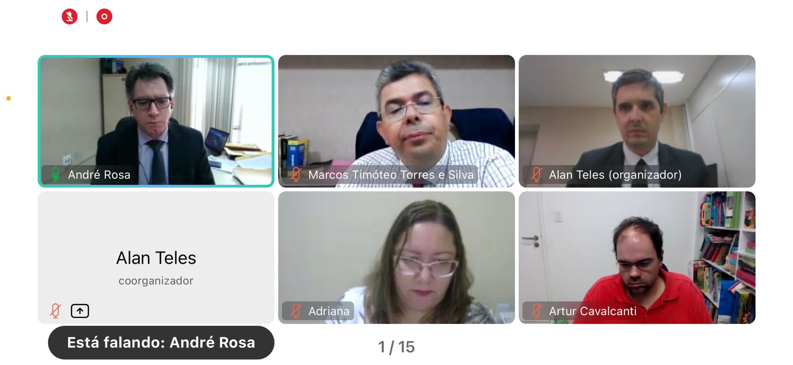 Imagem da tela da reunião com os participantes da reunião