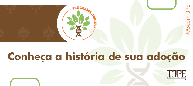 arte com a logo do programa origens nas cores verde, marrom e laranja