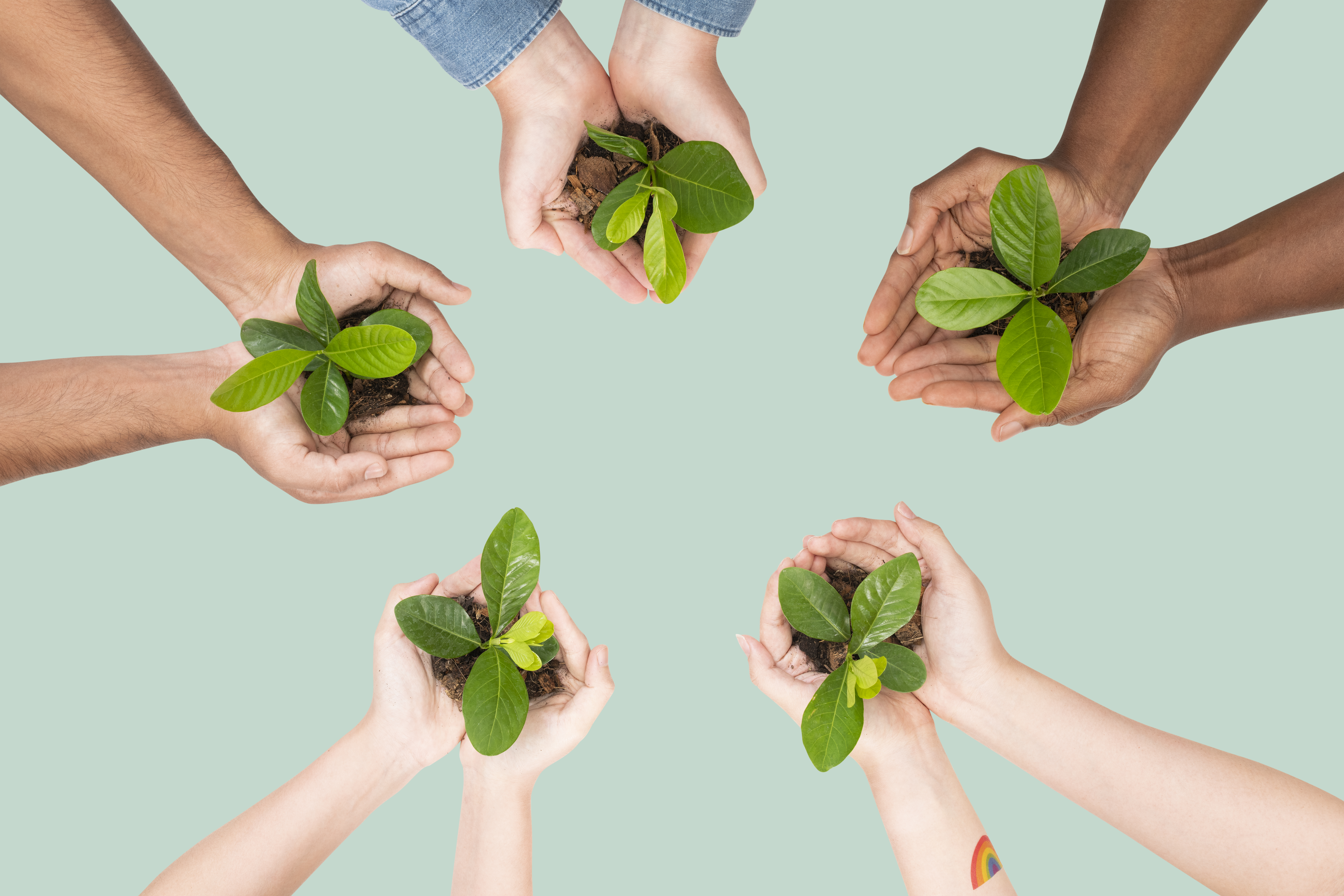 Foto da notícia - Nupemec irá apresentar programa de conciliação no V Workshop Meio Ambiente e Sustentabilidade